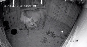 barn camera mount