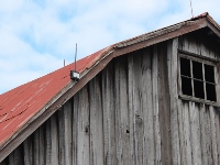 barn camera transmitter